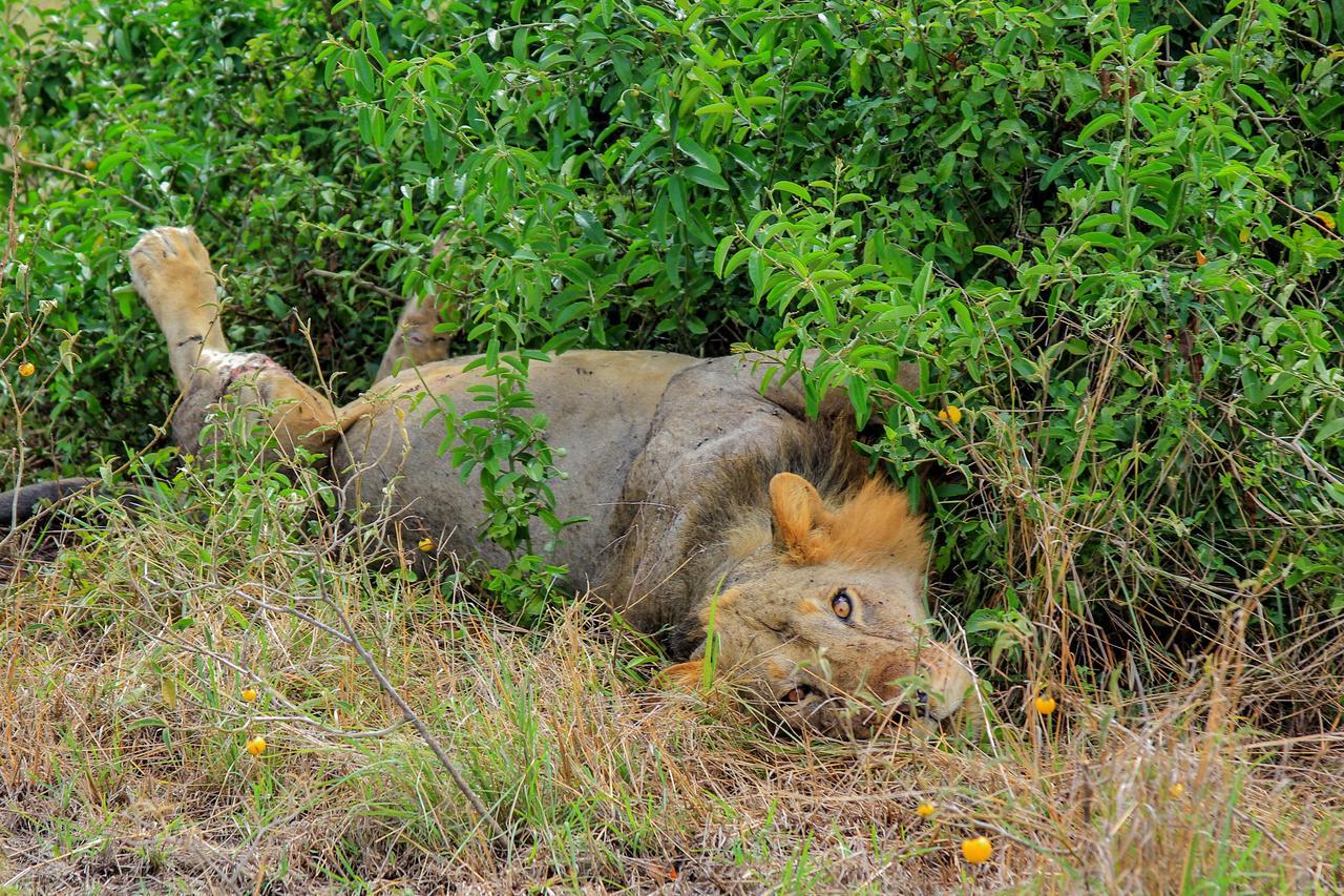 Wild Tracks Overland Camp Kasese Exterior photo